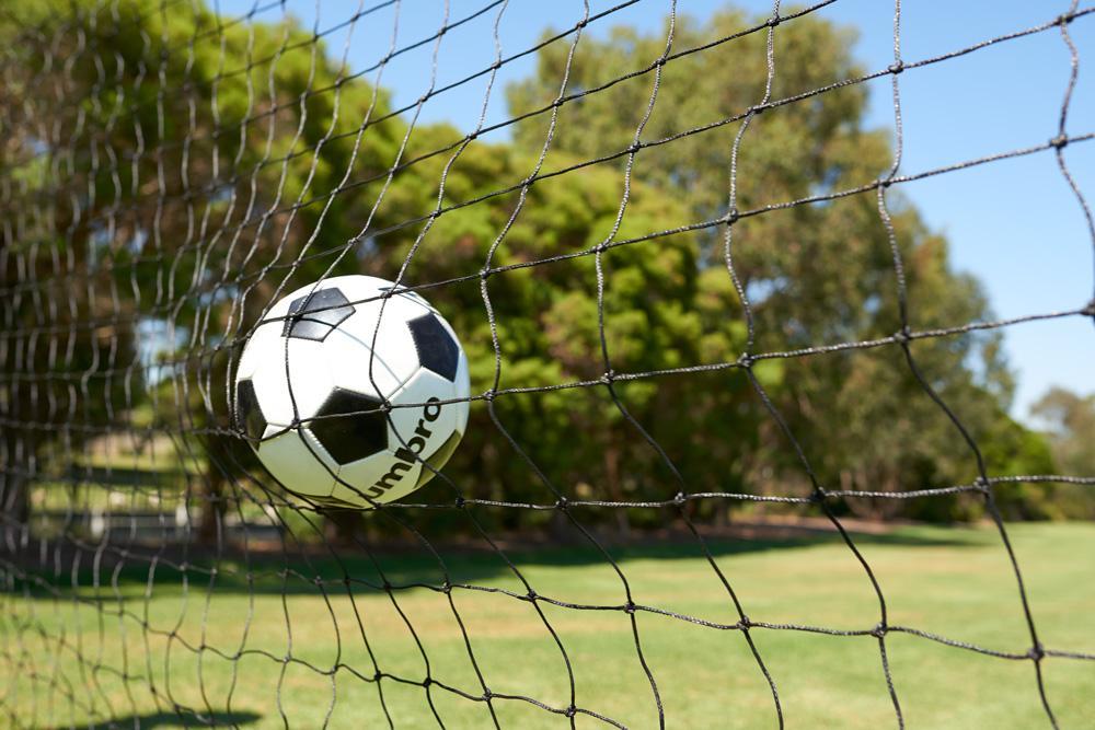 Ball Stop Barrier Nets with 2 Support Posts - 40mm sq - Image 27
