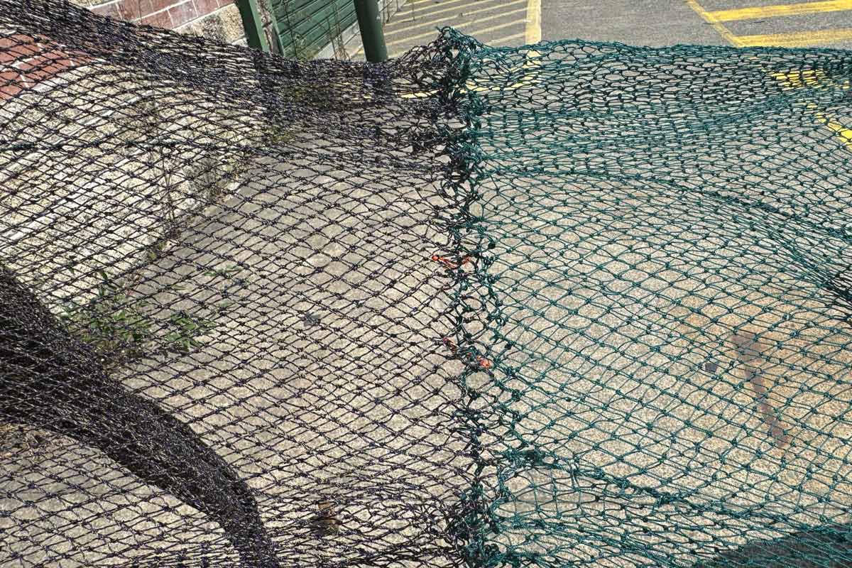 Deluxe Prawn Drag Net: FREE SHIPPING - Image 4