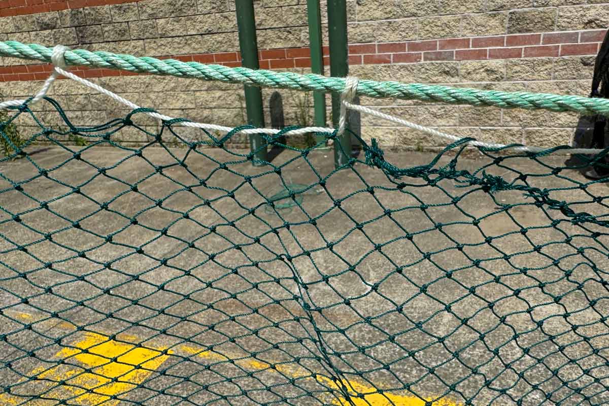 Deluxe Prawn Drag Net: FREE SHIPPING - Image 5