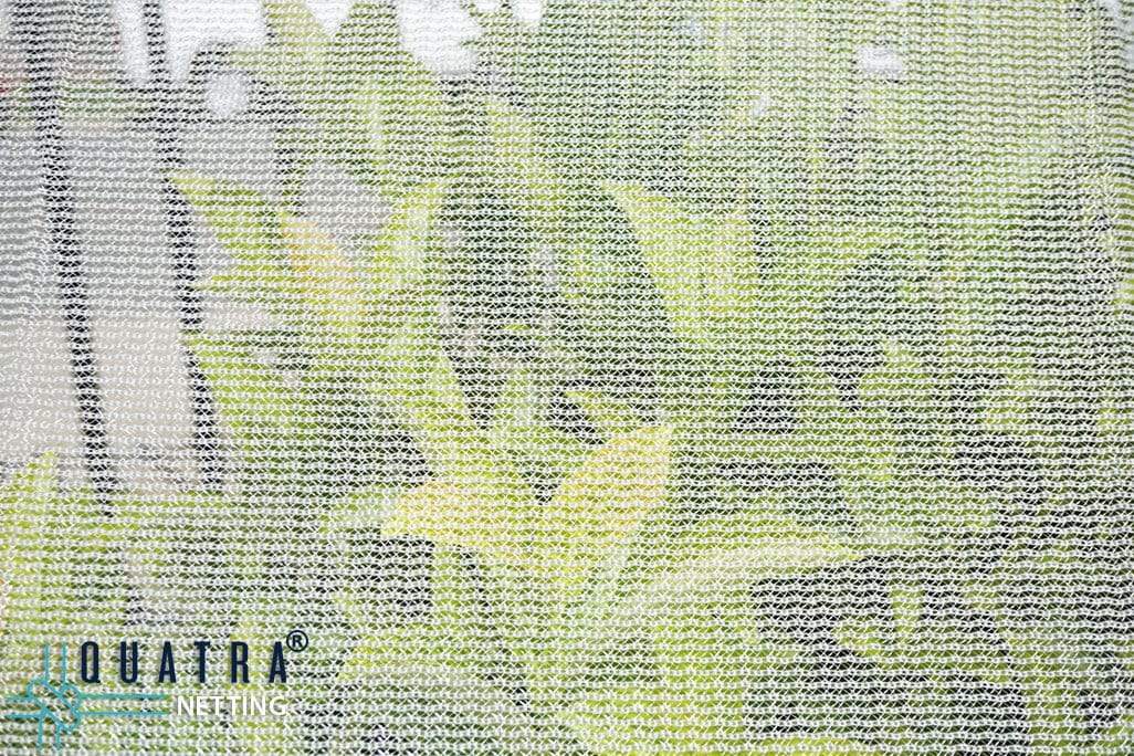 Fruit Fly & Insect Netting 103GSM - Image 4