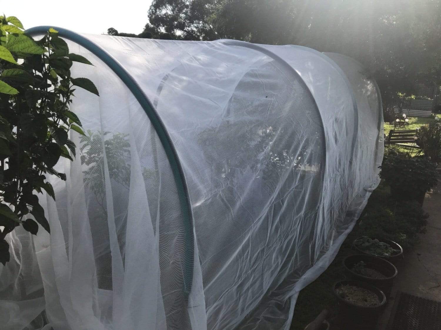 Fruit Fly & Insect Netting 103GSM - Image 6