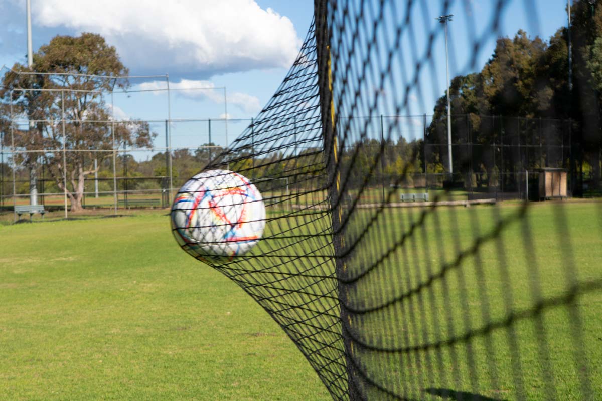 Medium Backstop Barrier Net - Image 4