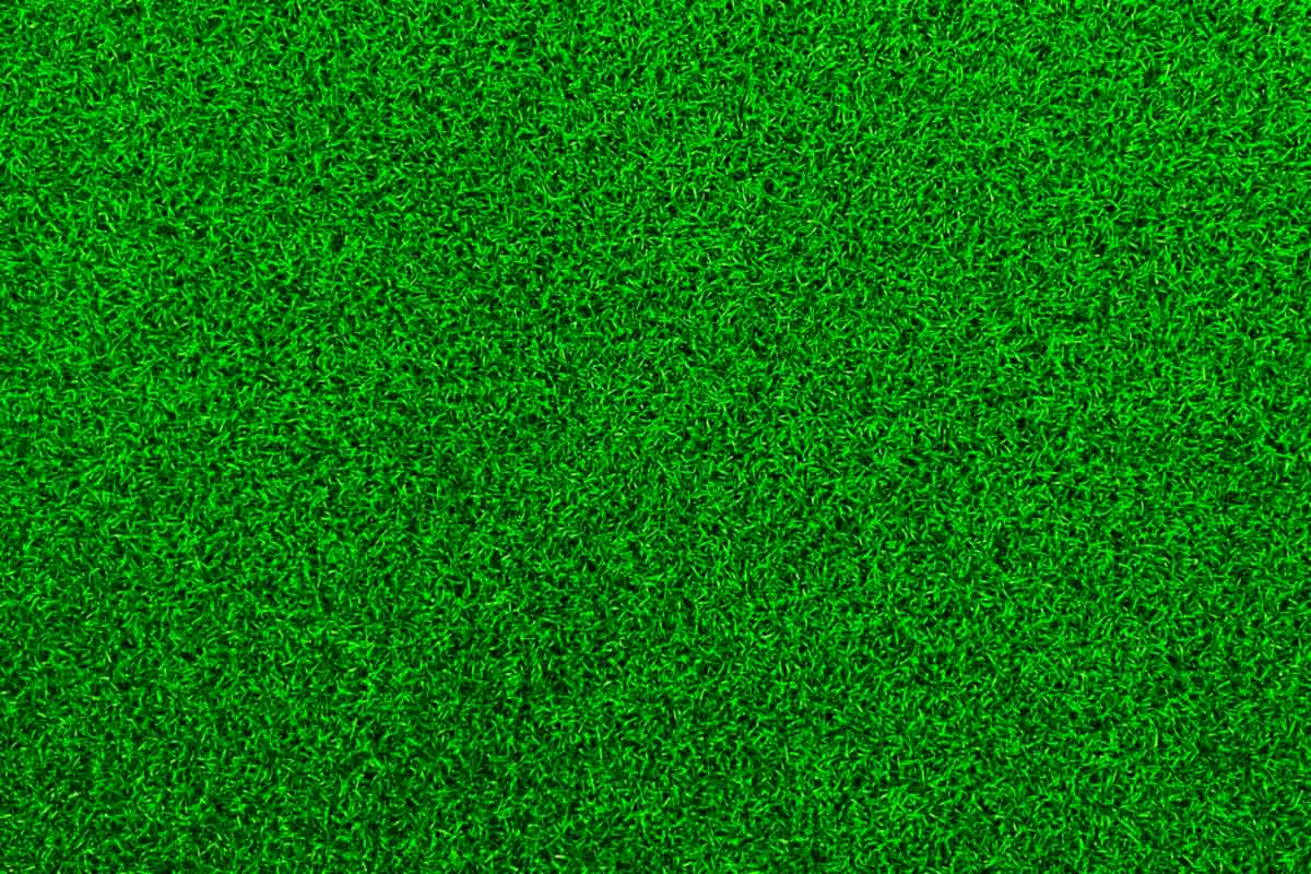 Medium Golf Mat - 120cm x 91cm - Image 7