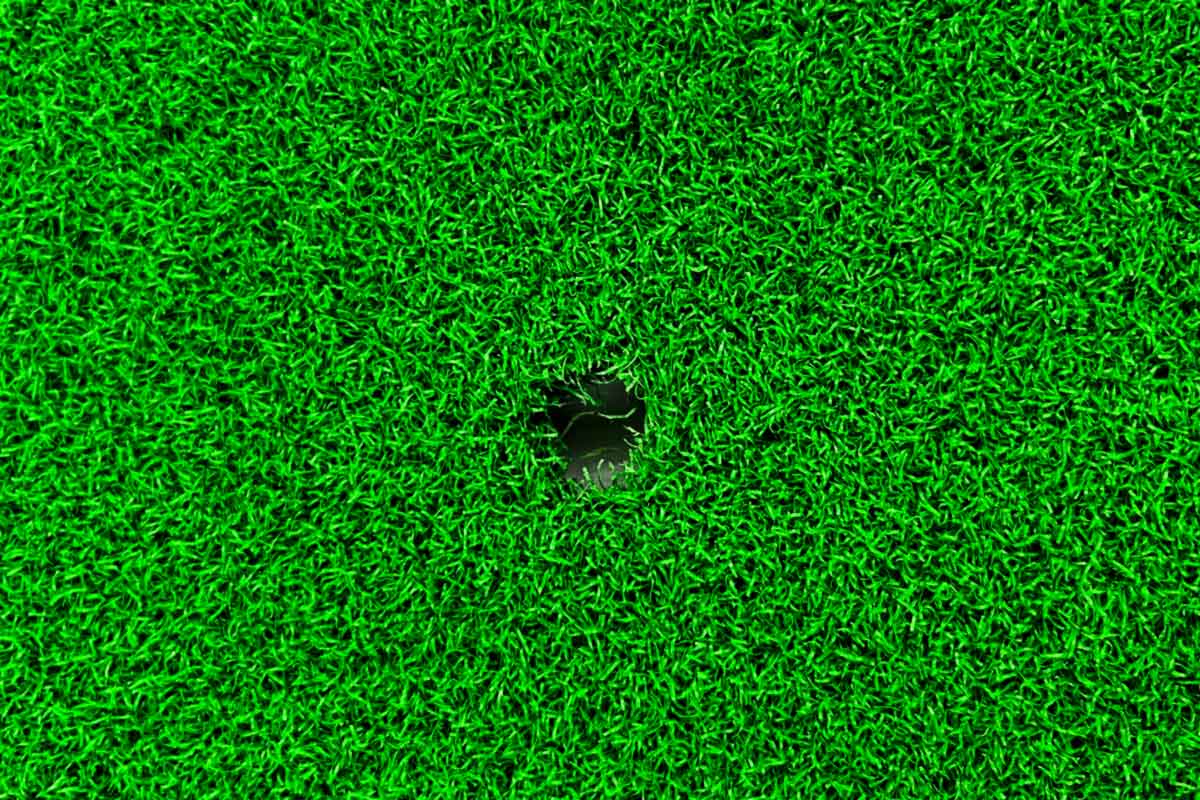 Small Golf Mat - 60cm x 30cm - Image 5