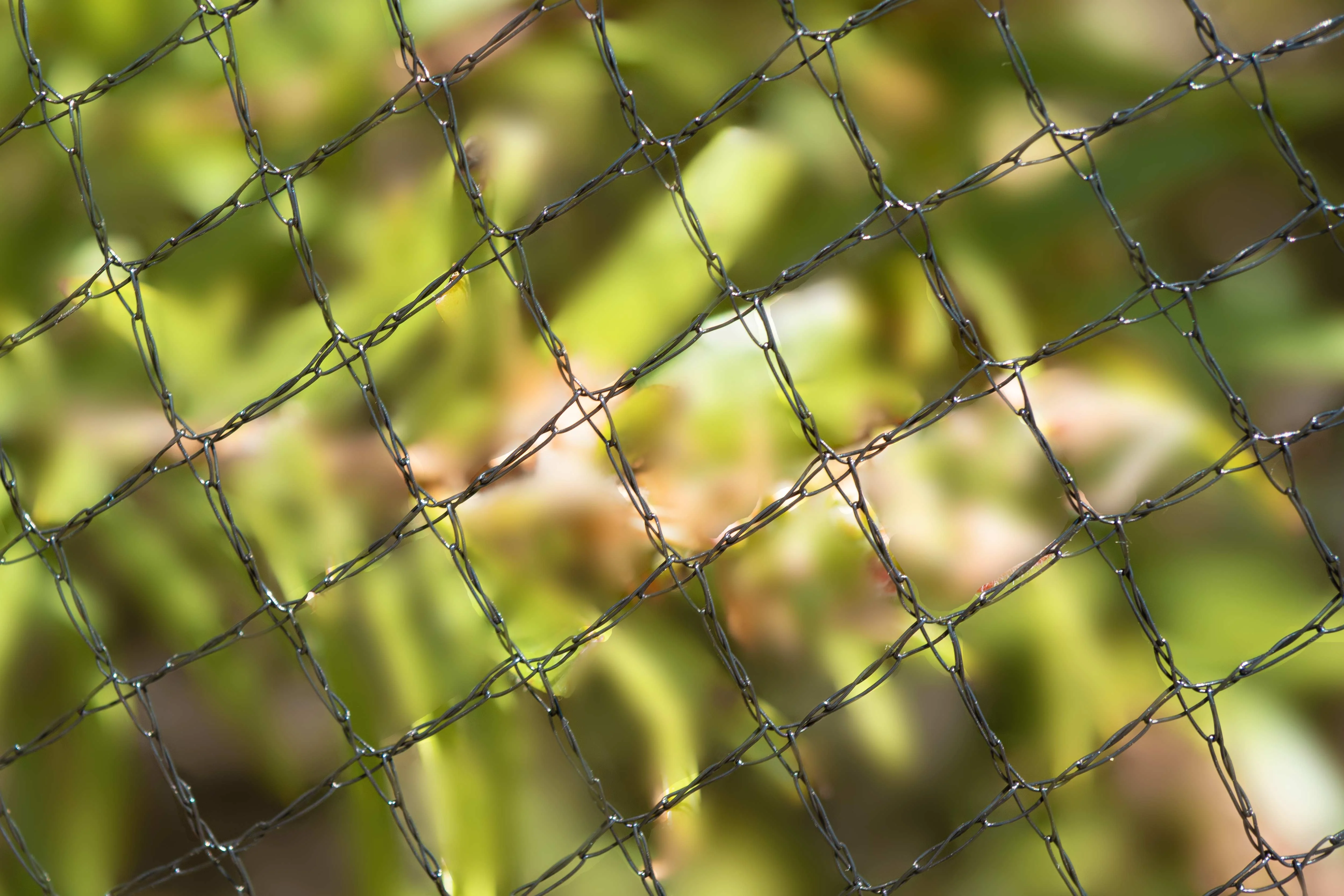 Wildlife Safe 5mm Diamond Bird Netting - Image 7